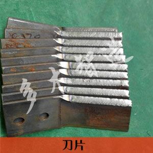 上海多木實(shí)業(yè)有限公司-成功案例