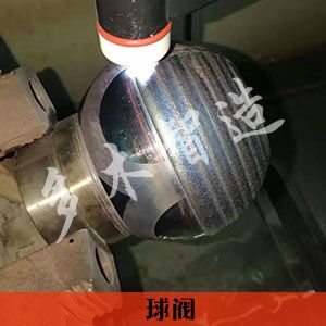 上海多木實(shí)業(yè)有限公司-成功案例